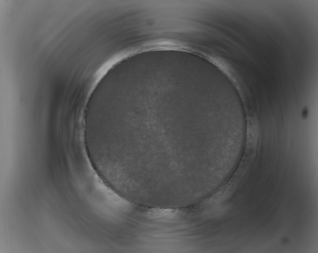 X0000116761474200912241132