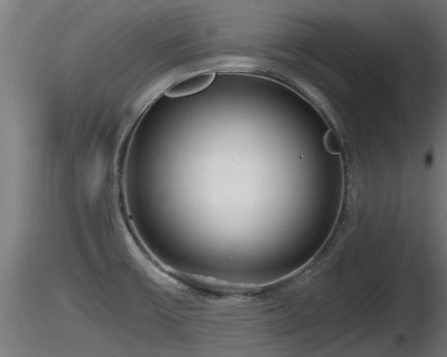 X0000116761475200912241132