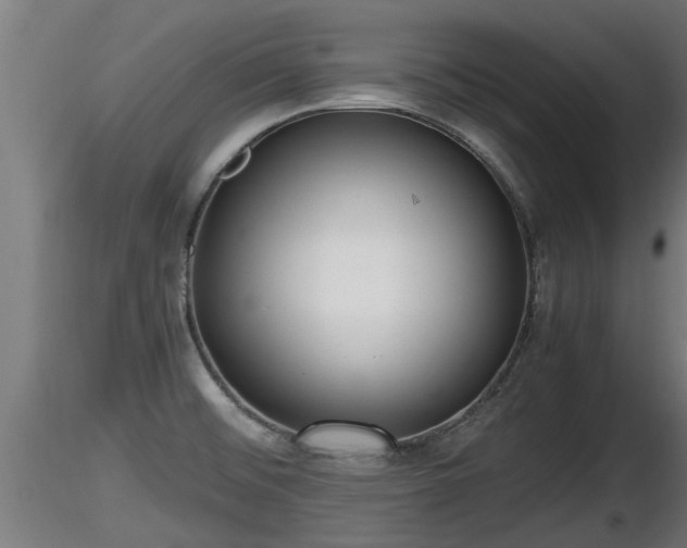 X0000116761476200912241132