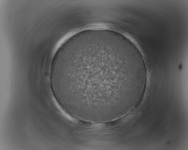 X0000116761477200912241132