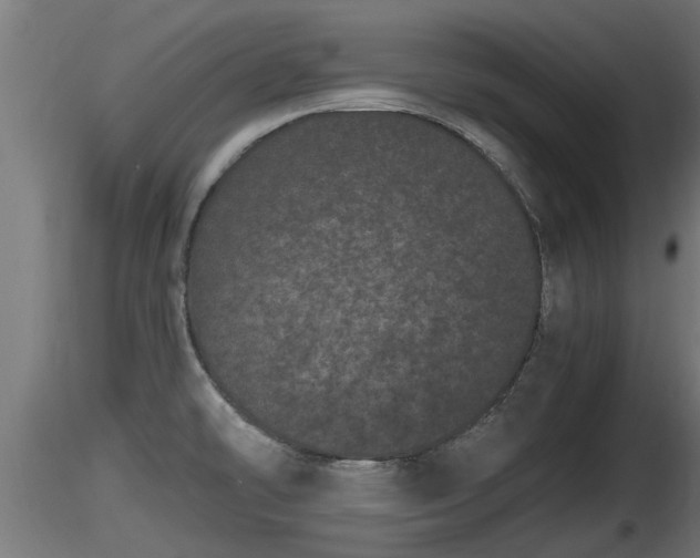 X0000116761478200912241132
