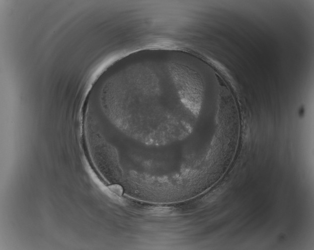 X0000116761479200912241132