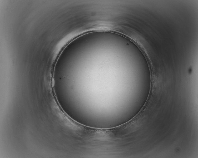 X0000116761480200912241132