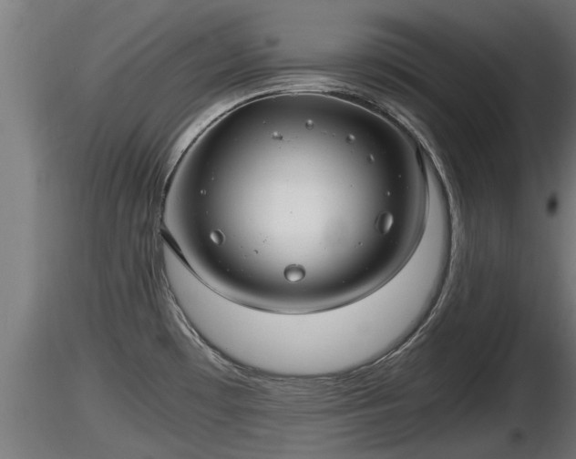 X0000116761481200912241132