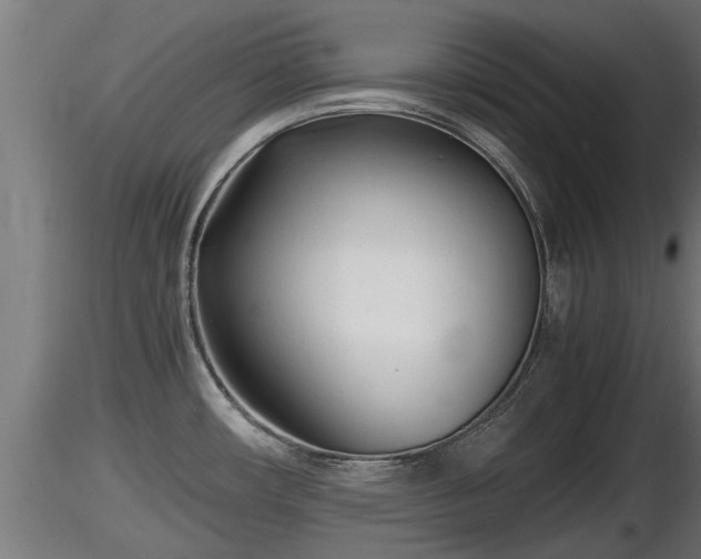 X0000116761482200912241132