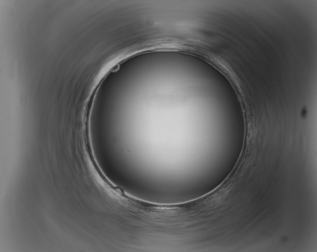 X0000116761483200912241132