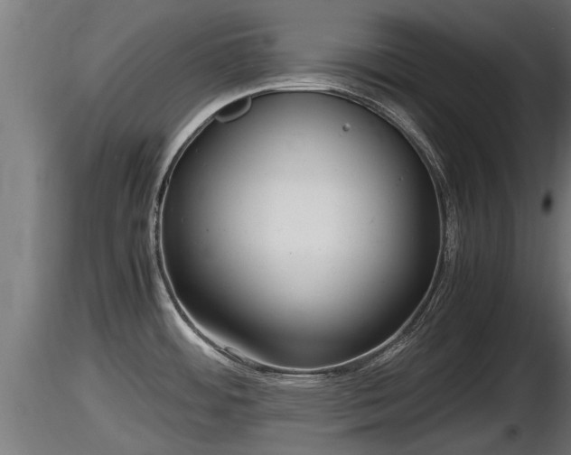X0000116761484200912241132