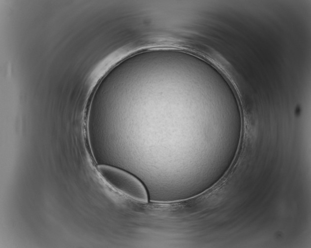 X0000116761485200912241132
