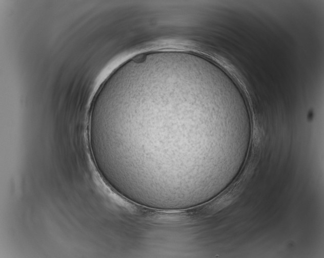 X0000116761486200912241132