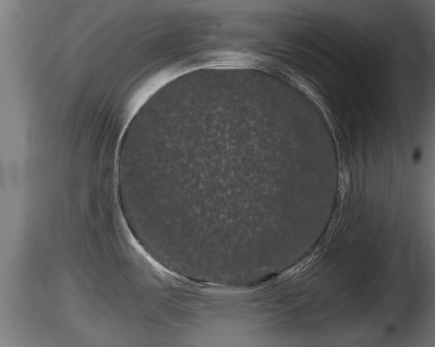 X0000116761487200912241132