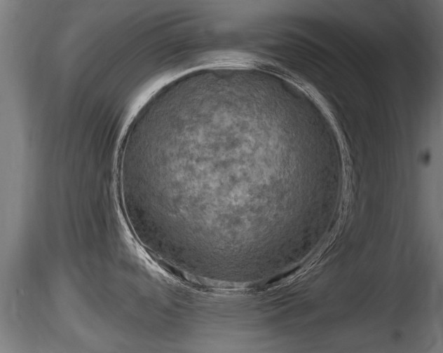 X0000116761488200912241132