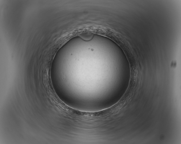 X0000116761489200912241131