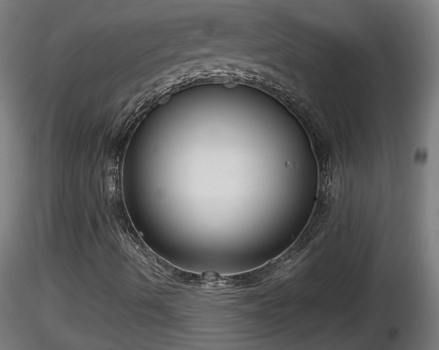 X0000116761490200912241131
