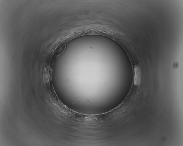 X0000116761491200912241131