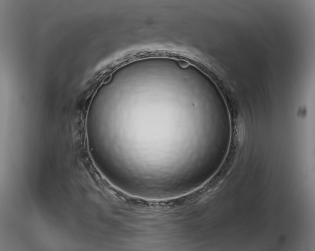 X0000116761494200912241131