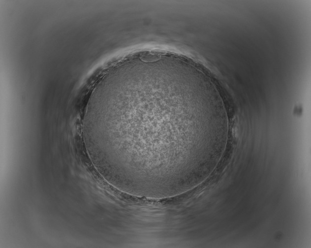 X0000116761495200912241131
