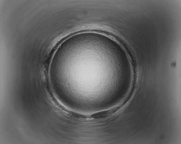 X0000116761497200912241131