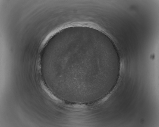 X0000116761498200912241131