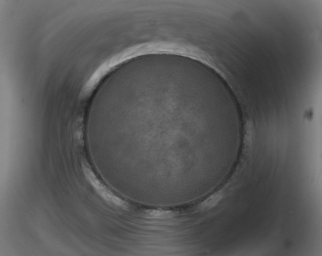 X0000116761499200912241131