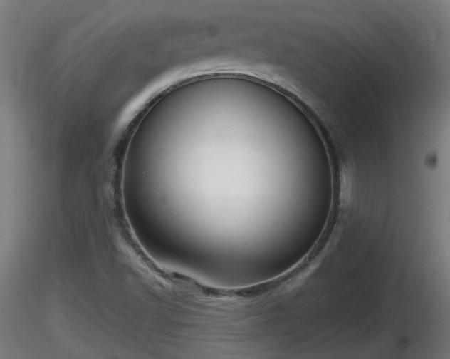 X0000116761502200912241131