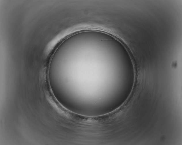 X0000116761503200912241131