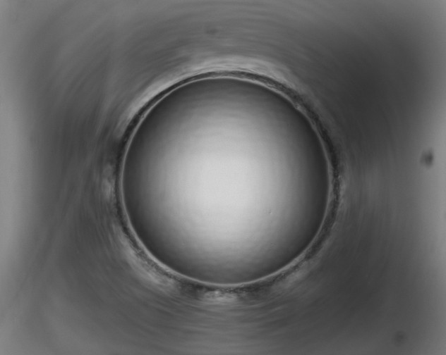 X0000116761505200912241131