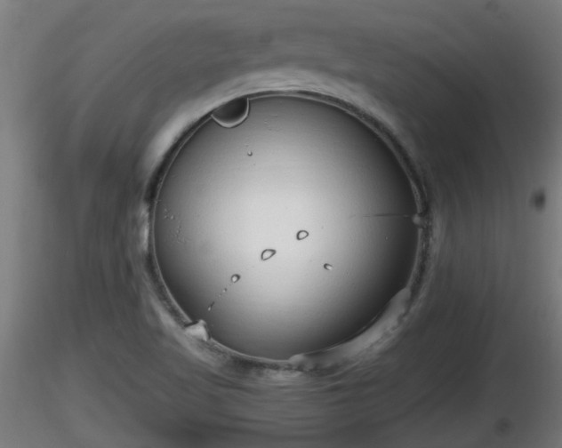 X0000116761509200912241131