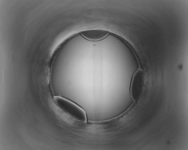 X0000116761510200912241131