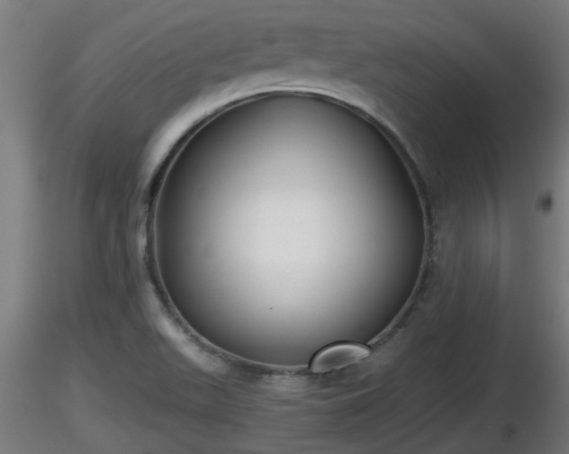 X0000116761511200912241131