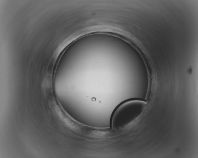X0000116761513200912241131