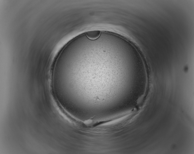 X0000116761517200912241132