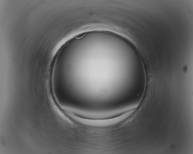 X0000116761518200912241132