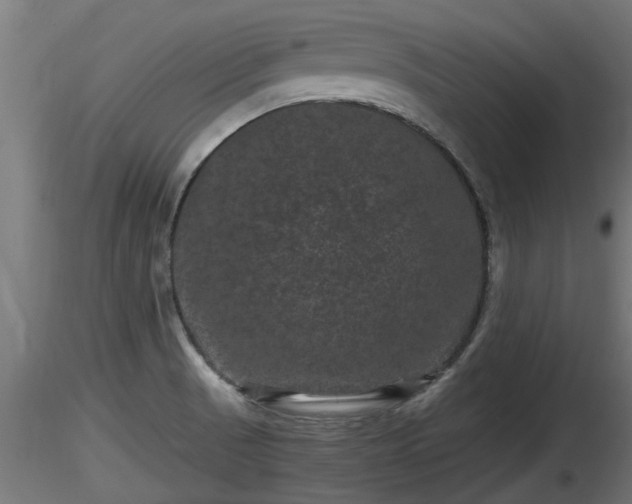 X0000116761521200912241132