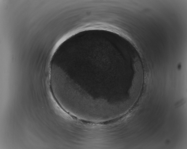 X0000116761522200912241132