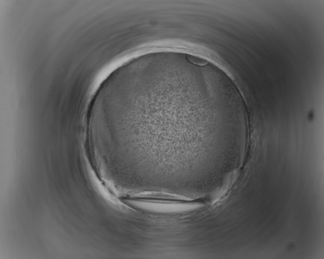 X0000116761523200912241132