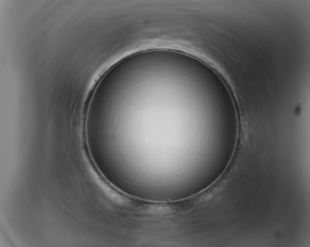 X0000116761525200912241132