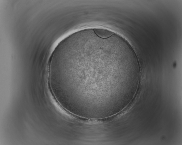 X0000116761526200912241132