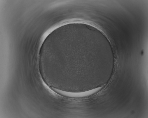 X0000116761527200912241132