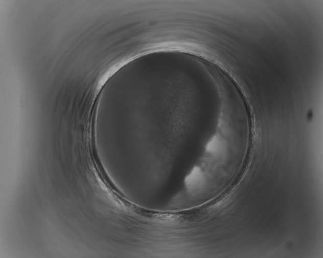 X0000116761529200912241132