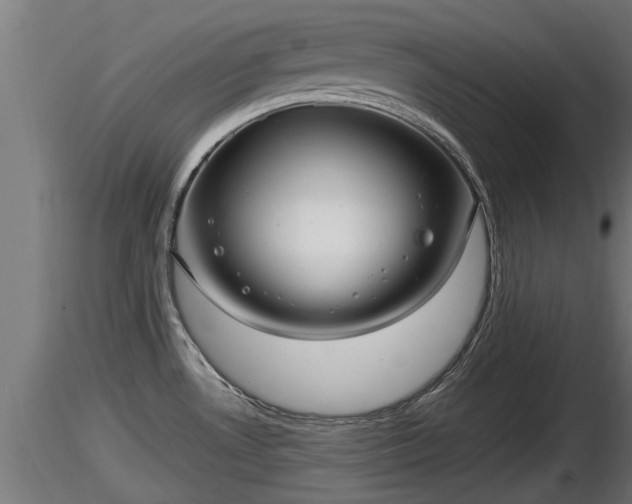 X0000116761530200912241132