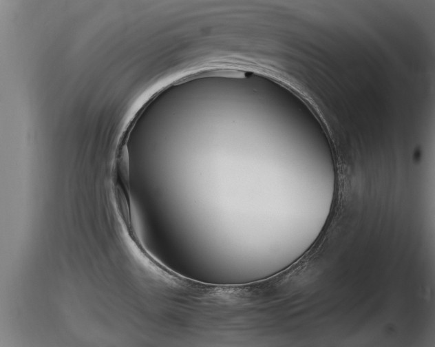 X0000116761531200912241132