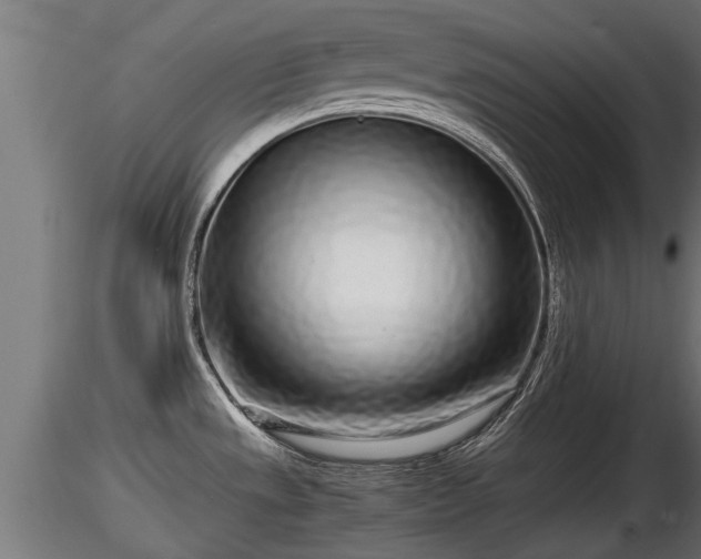 X0000116761533200912241132