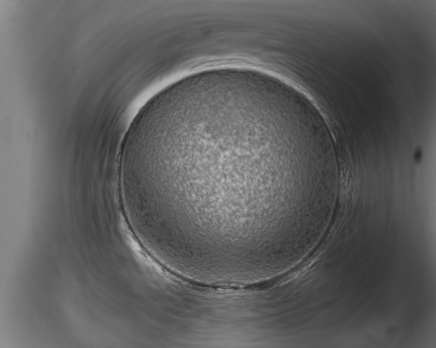 X0000116761534200912241132