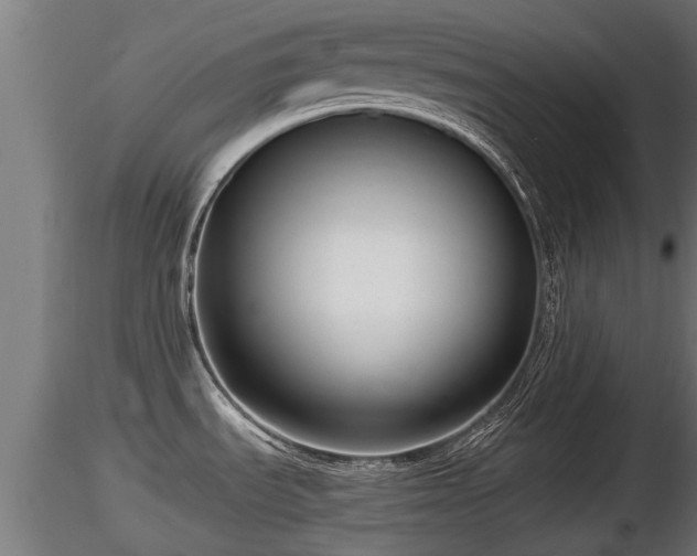 X0000116761535200912241132