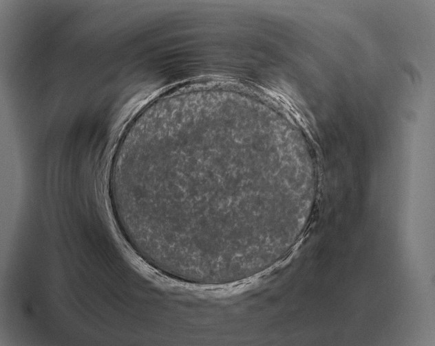 X0000116760001200912311828