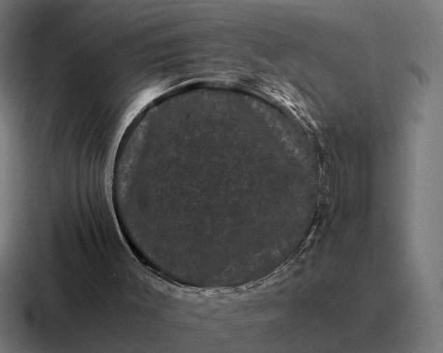 X0000116760003200912311827