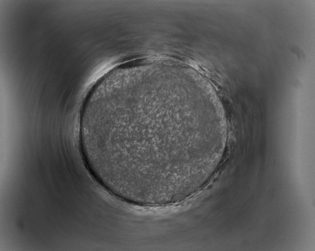 X0000116760005200912311827