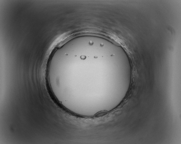 X0000116760007200912311827