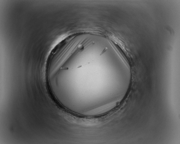 X0000116760008200912311827