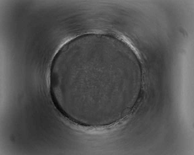 X0000116760011200912311827